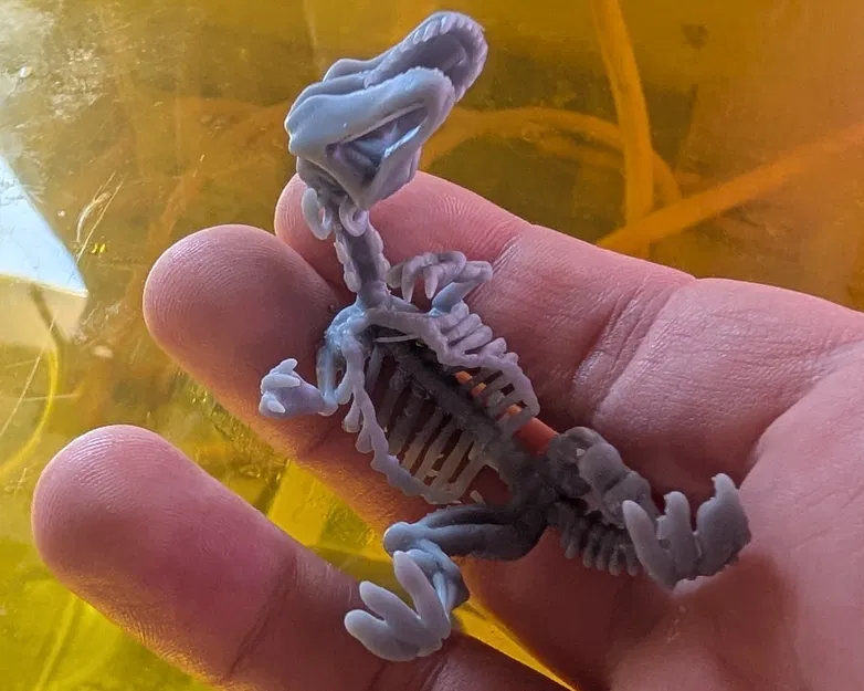 Bộ Xương Khủng Long (DND / TTRPG) - Image 3