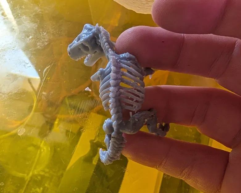 Bộ Xương Khủng Long (DND / TTRPG) - Image 4