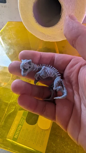 Bộ Xương Khủng Long (DND / TTRPG) - Image 6