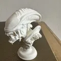 Bust Alien - Mô Hình Đầu Người Ngoài Hành Tinh Trang Trí - Thumbnail 4