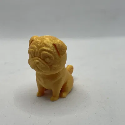 Chó Mini Dễ Thương - Nhiều Giống