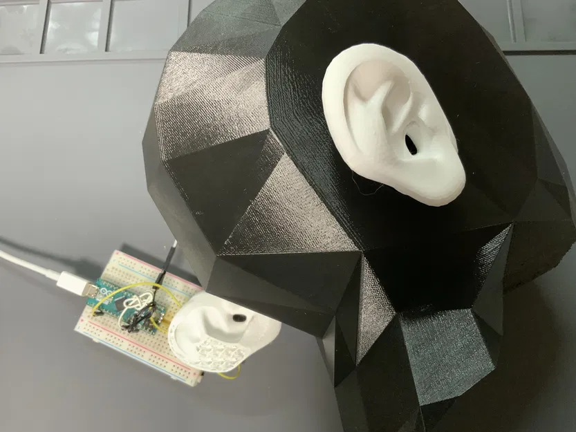 Mô Hình Tai - Image 1