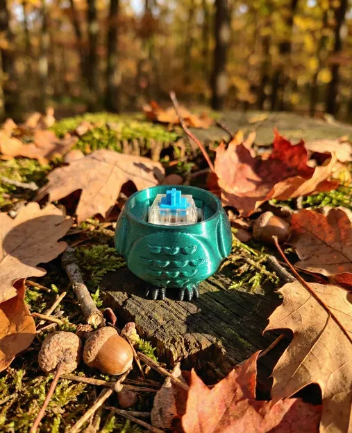 Móc Khóa Fidget Clicker Hình Cú Mèo - Image 4