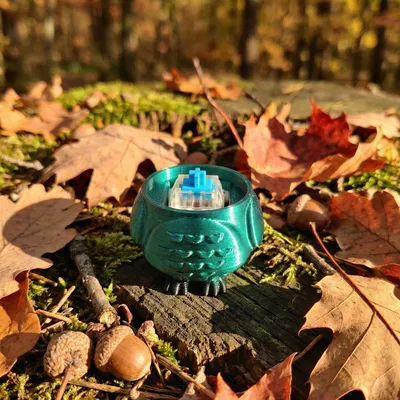 Móc Khóa Fidget Clicker Hình Cú Mèo