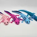Axolotl Baby Flexi Lai Hybrid - Thumbnail 1