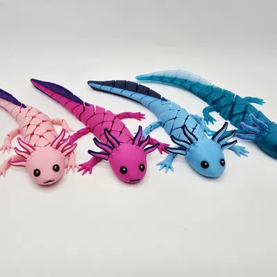 Axolotl Baby Flexi Lai Hybrid
