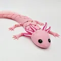 Axolotl Baby Flexi Lai Hybrid - Thumbnail 2