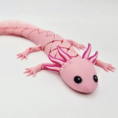 Axolotl Baby Flexi Lai Hybrid