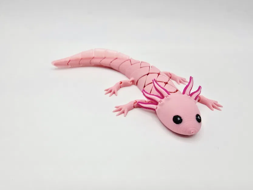 Axolotl Baby Flexi Lai Hybrid - Image 3