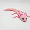 Axolotl Baby Flexi Lai Hybrid - Thumbnail 3