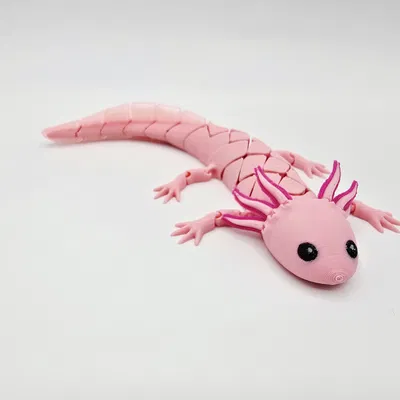 Axolotl Baby Flexi Lai Hybrid