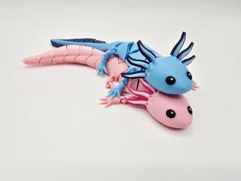 Axolotl Baby Flexi Lai Hybrid - Image 4