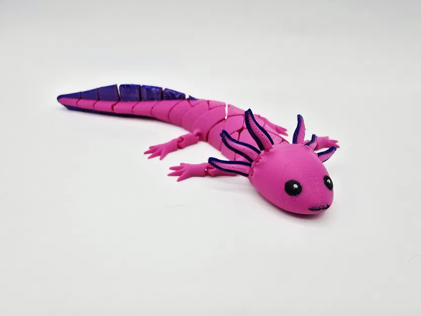 Axolotl Baby Flexi Lai Hybrid - Image 5