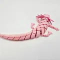 Axolotl Baby Flexi Lai Hybrid - Thumbnail 6