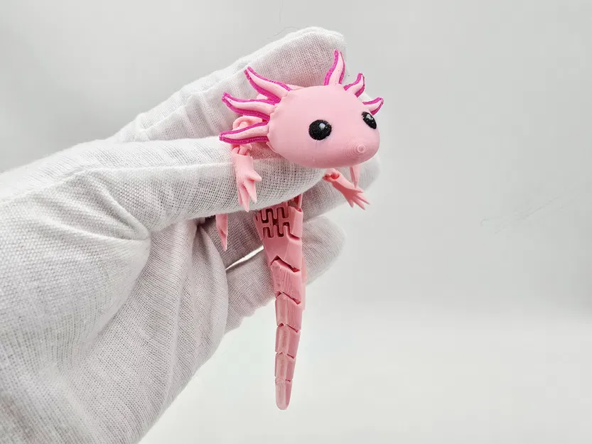 Axolotl Baby Flexi Lai Hybrid - Image 7