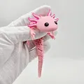 Axolotl Baby Flexi Lai Hybrid - Thumbnail 7