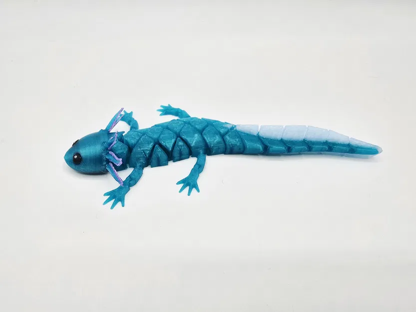 Axolotl Baby Flexi Lai Hybrid - Image 8
