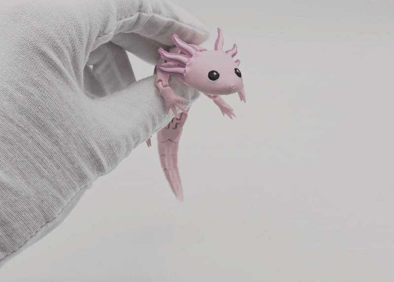 Axolotl Baby Flexi Lai Hybrid - Thumbnail 9