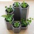 Tháp Trồng Cây Mini Lục Giác HexaBloom - Thumbnail 1
