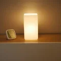 Đèn Trần Dốc | Đèn Cho Tường/Trần Nghiêng - Thumbnail 2