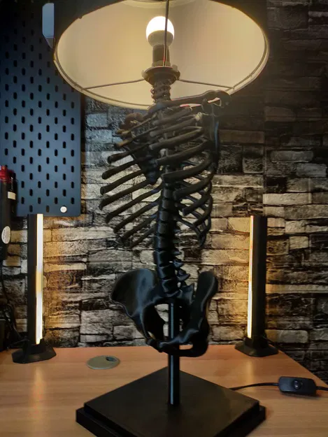 ĐÈN BỘ XƯƠNG NGƯỜI - Image 3