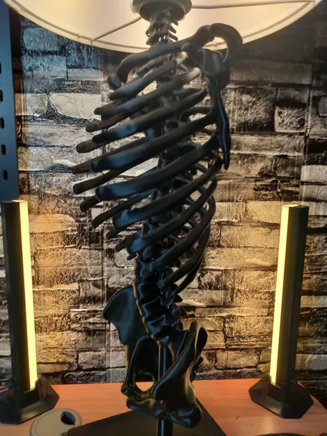 ĐÈN BỘ XƯƠNG NGƯỜI - Image 5