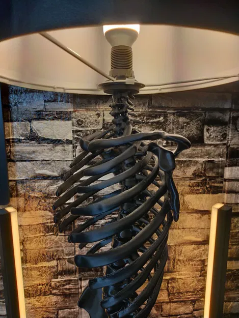 ĐÈN BỘ XƯƠNG NGƯỜI - Image 6