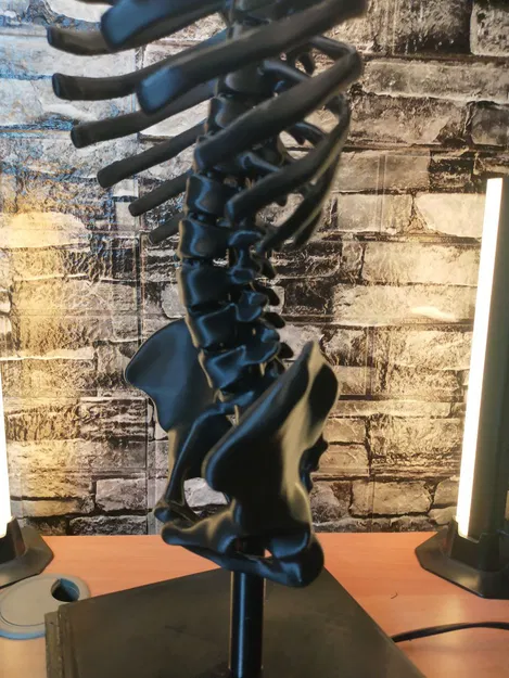 ĐÈN BỘ XƯƠNG NGƯỜI - Image 7