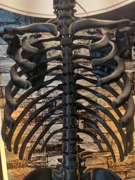 ĐÈN BỘ XƯƠNG NGƯỜI - Image 8