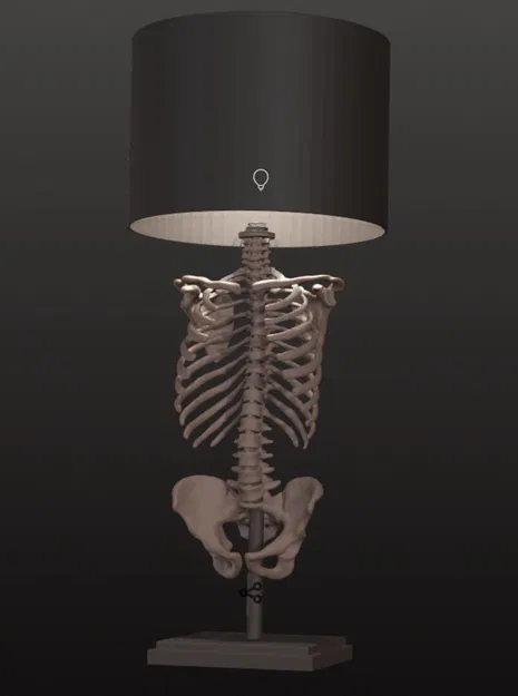 ĐÈN BỘ XƯƠNG NGƯỜI - Image 10