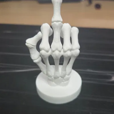 Mô Hình Ngón Tay Giữa Kiểu Bộ Xương