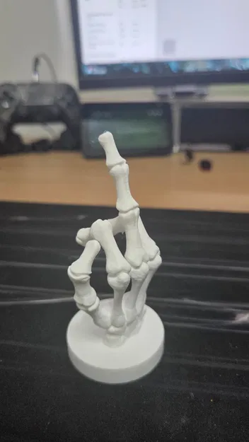 Mô Hình Ngón Tay Giữa Kiểu Bộ Xương - Image 2