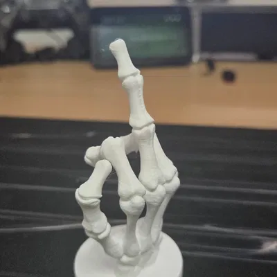 Mô Hình Ngón Tay Giữa Kiểu Bộ Xương