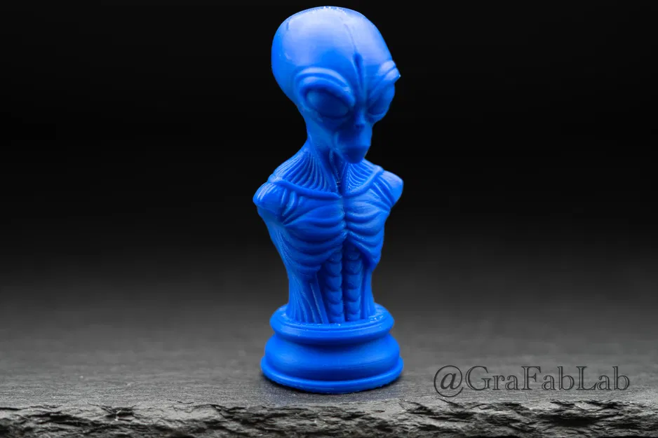 Vua "Thống Lĩnh Vũ Trụ" - Quân Cờ Vua - Image 3