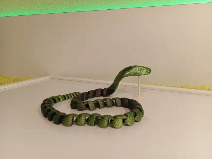 Mô hình 3D Rắn Khớp Nối - Rắn Chuông/Hổ Mang Lai - Image 1