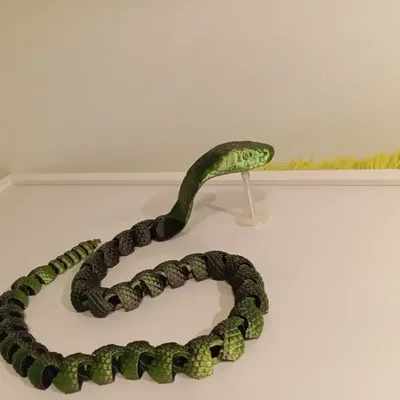 Mô hình 3D Rắn Khớp Nối - Rắn Chuông/Hổ Mang Lai