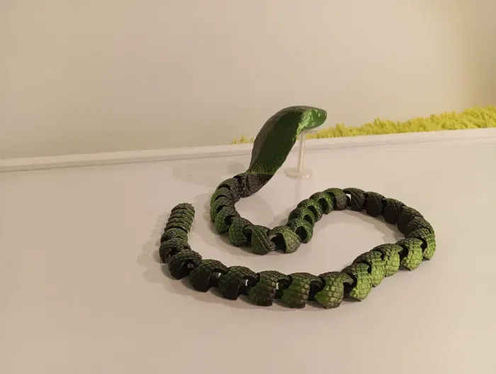 Mô hình 3D Rắn Khớp Nối - Rắn Chuông/Hổ Mang Lai - Image 3