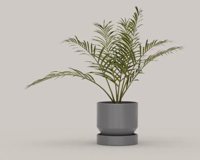 Bộ sưu tập chậu cây - Image 1