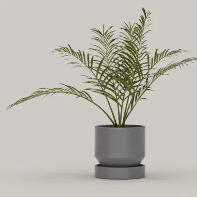 Bộ sưu tập chậu cây