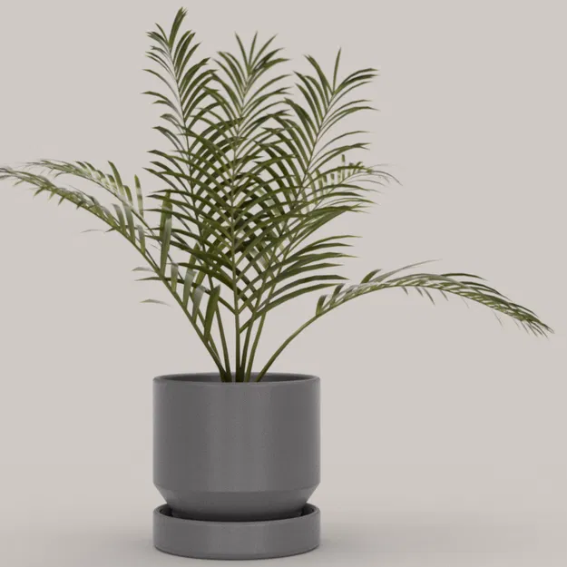 Bộ sưu tập chậu cây - Image 2