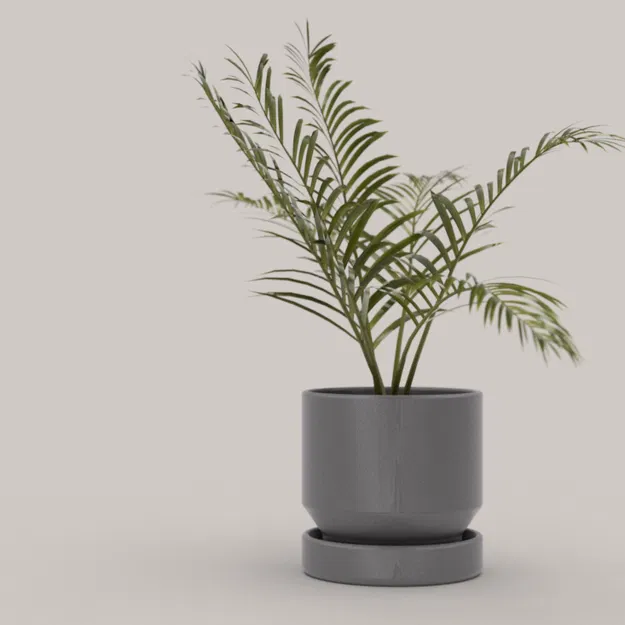 Bộ sưu tập chậu cây - Image 4