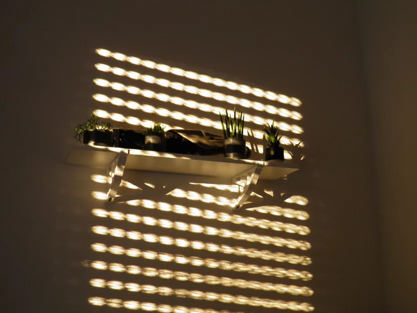 Bộ sưu tập chậu cây - Image 9