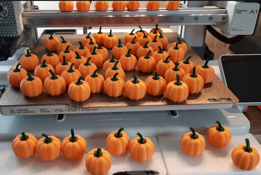 Bí Ngô Mini (Lễ Tạ Ơn/Halloween) - Image 1