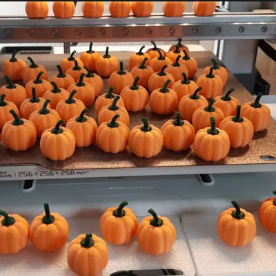 Bí Ngô Mini (Lễ Tạ Ơn/Halloween)