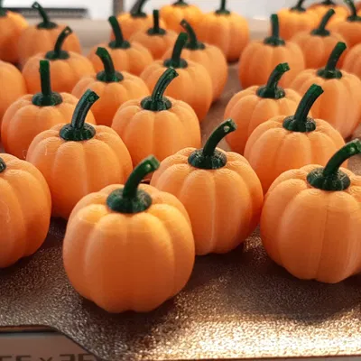 Bí Ngô Mini (Lễ Tạ Ơn/Halloween)