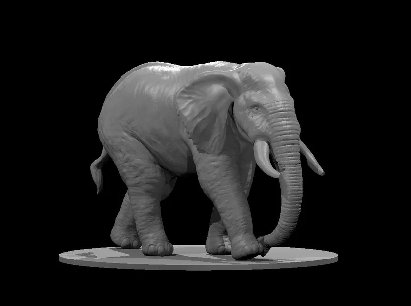 Mẫu "Elephant 2025" - Image 1