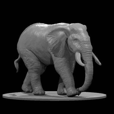 Mẫu "Elephant 2025"