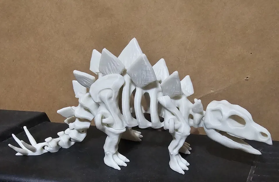 Bộ xương khủng long khớp nối 3 - Image 1