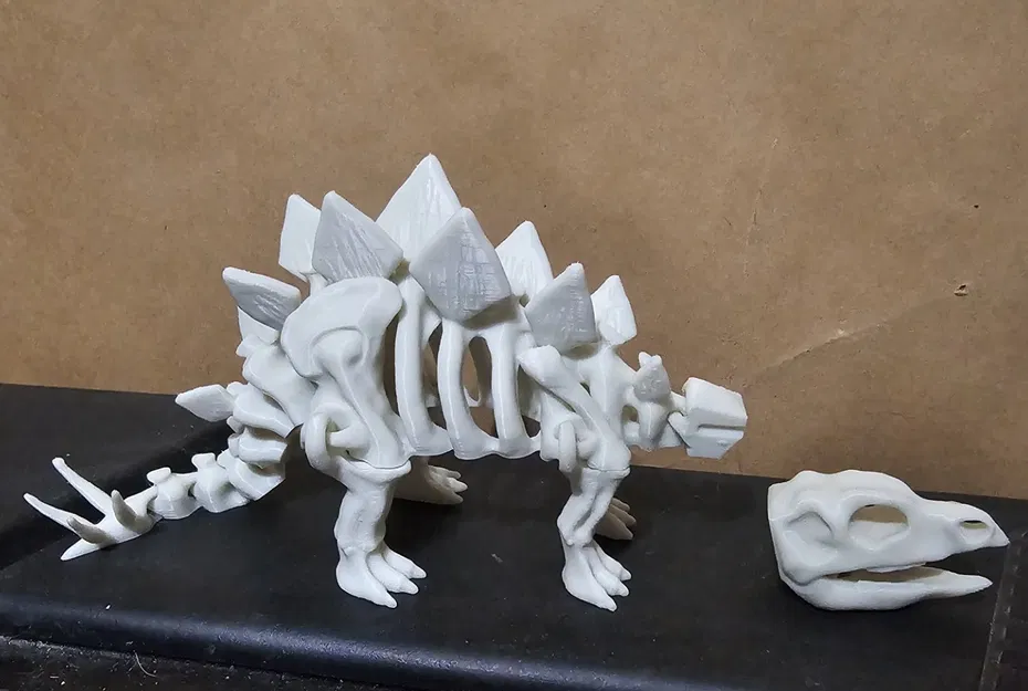 Bộ xương khủng long khớp nối 3 - Image 2