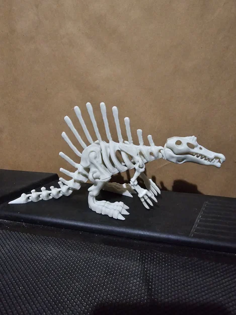 Mô Hình Bộ Xương Khủng Long Khớp Nối 4 - Image 1